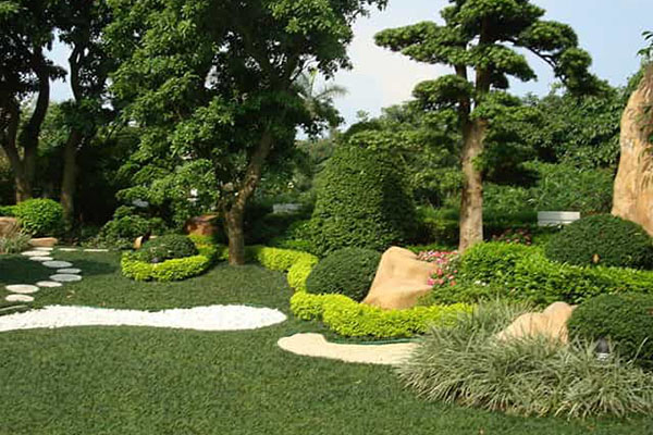 怎樣來更好的保障園林綠化養護(hù)進(jìn)行