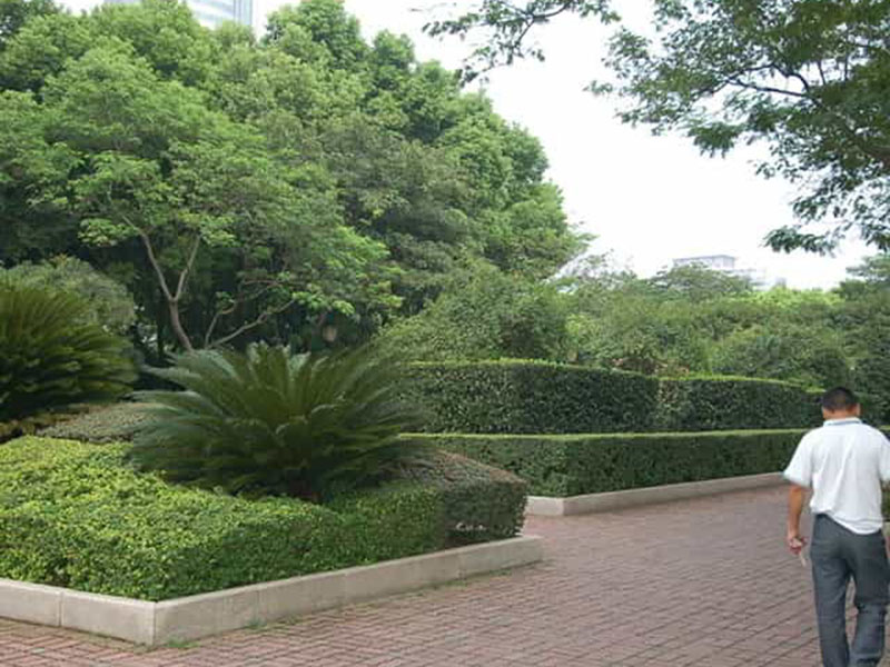 市政綠化養護服務