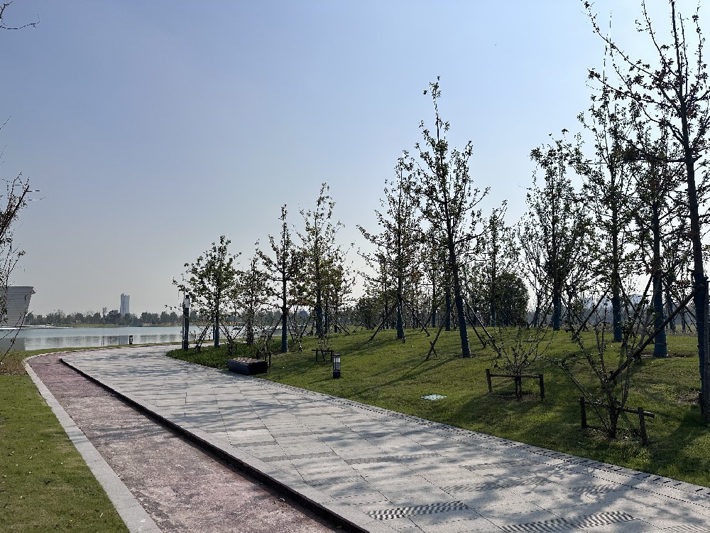 經開區城市客廳